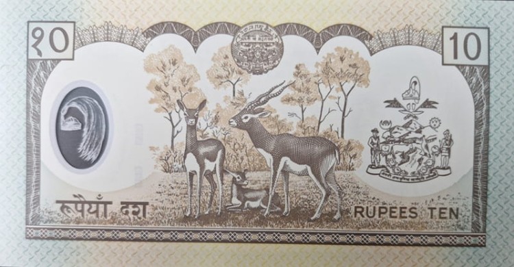 Nepal banknot 10 rupia 2002 rewers