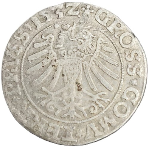 Moneta grosz toruński 1532 Zygmunt I Stary rewers