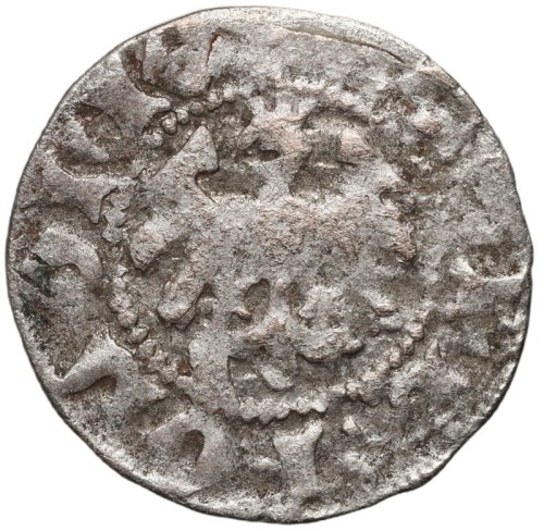 Moneta półgrosz koronny Władysław II Jagiełło Kraków awers