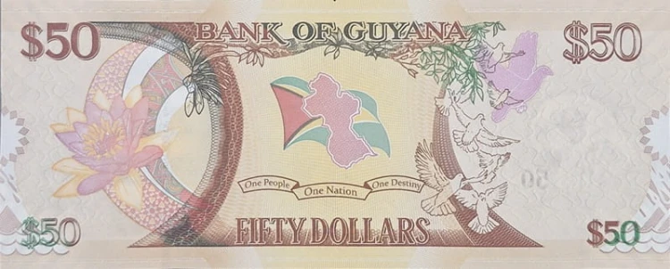 Banknot Gujana 50 dolarów 2016 P-41 rewers