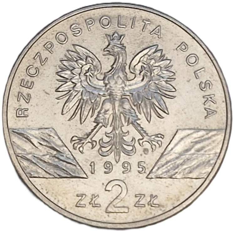 Moneta okolicznościowa 2 zł Sum 1995 awers