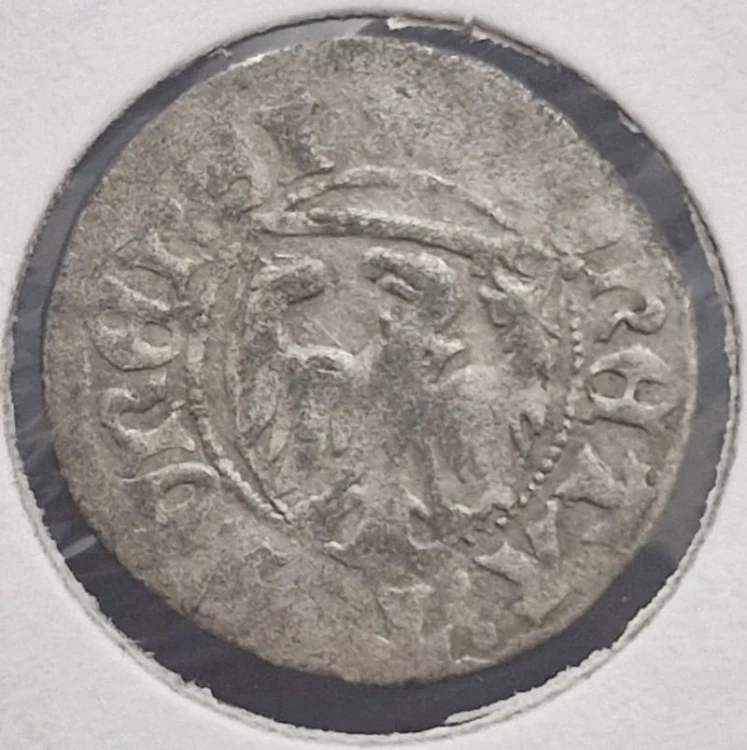 Moneta Szeląg Kazimierz IV Jagiellończyk 1446–1492 rewers