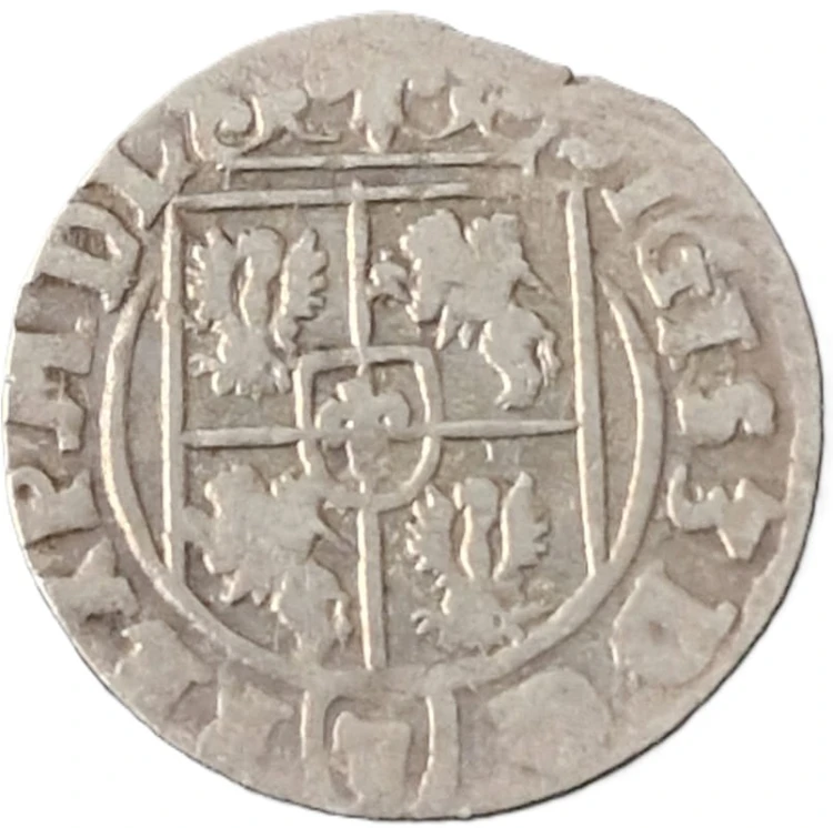 Moneta Półtorak Zygmunt III Waza 1624 Bydgoszcz awers
