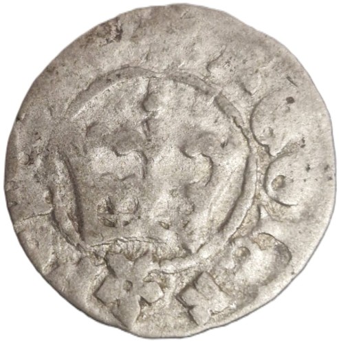 moneta Półgrosz Jan Olbracht 1492-1501 awers