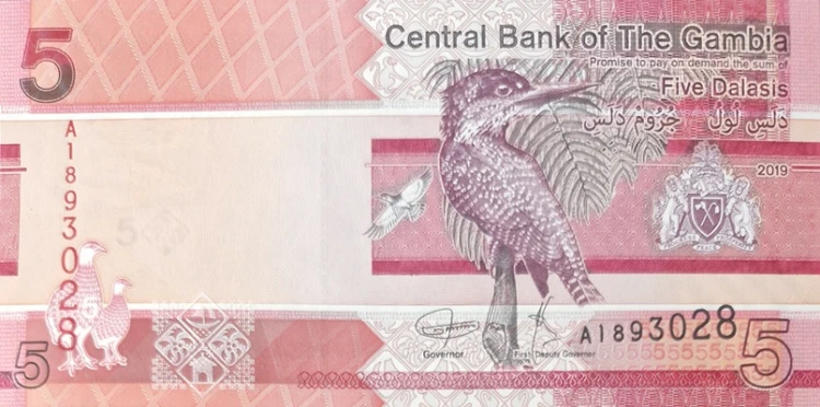 Gambia banknot 5 dalasis 2019 awers