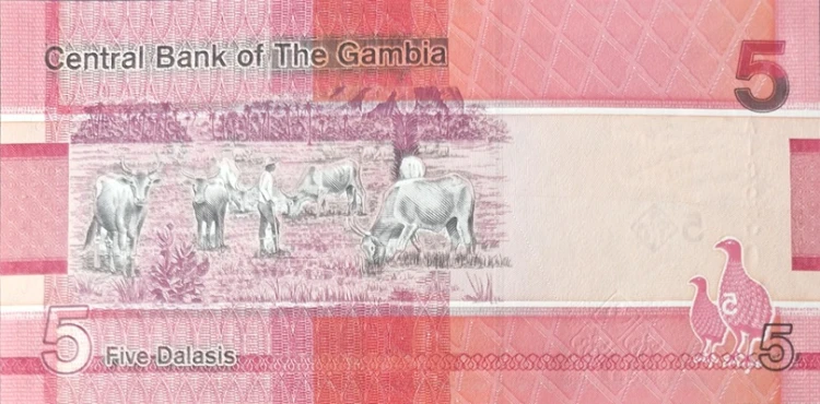 Gambia banknot 5 dalasis 2019 rewers