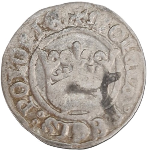 Moneta Półgrosz Aleksander Jagiellończyk 1502-1506 rewers
