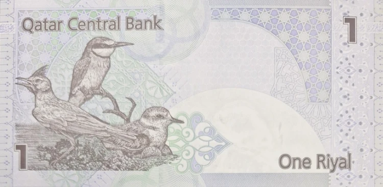 Katar banknot 1 riyal 2017 P-28b rewers
