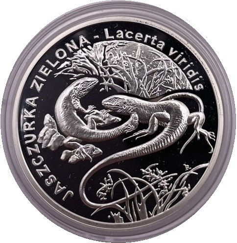 Moneta 20 zł Jaszczurka zielona 2009 rewers