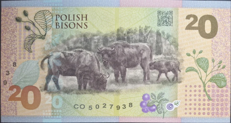 Polskie Żubry PWPW 2019 r. banknot testowy are