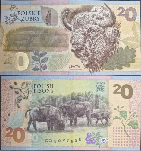 Polskie Żubry PWPW 2019 banknot testowy