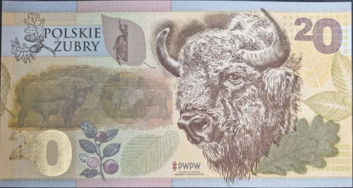 Polskie Żubry PWPW 2019 r. banknot testowy awers