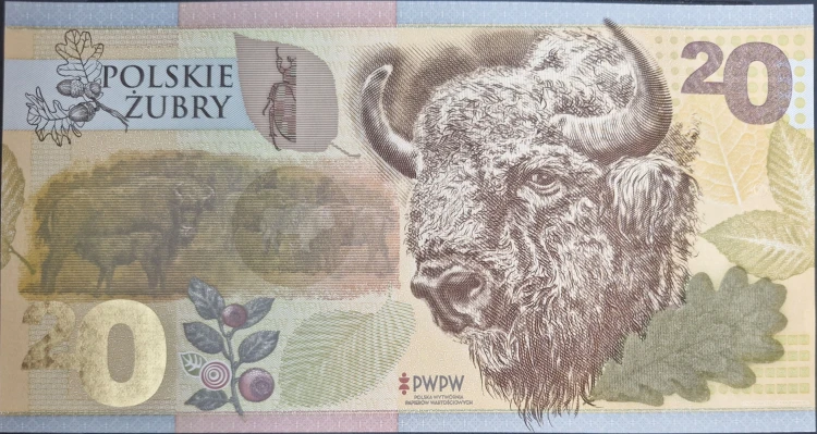 Polskie Żubry PWPW 2019 r. banknot testowy awers