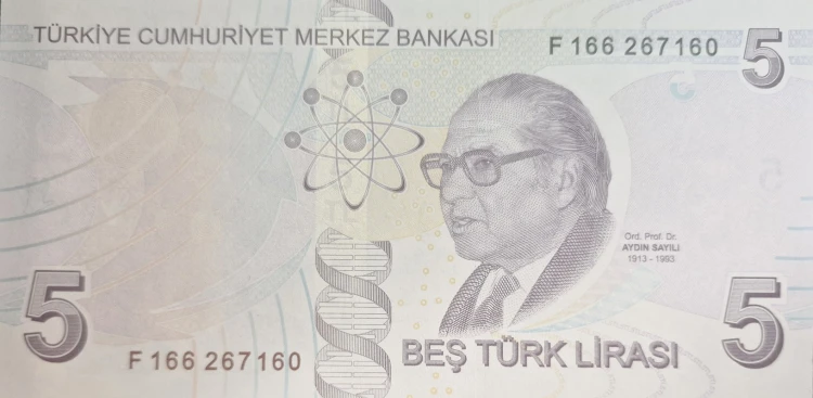 Turcja banknot 5 Lira 2009 rewers
