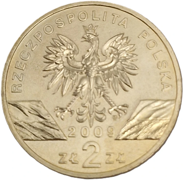 Moneta 2 zł Jaszczurka zielona 2009 awers