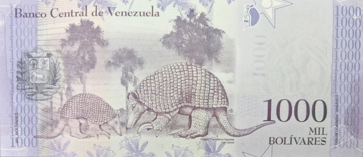 Wenezuela banknot 1000 Bolivares 2017 rewers