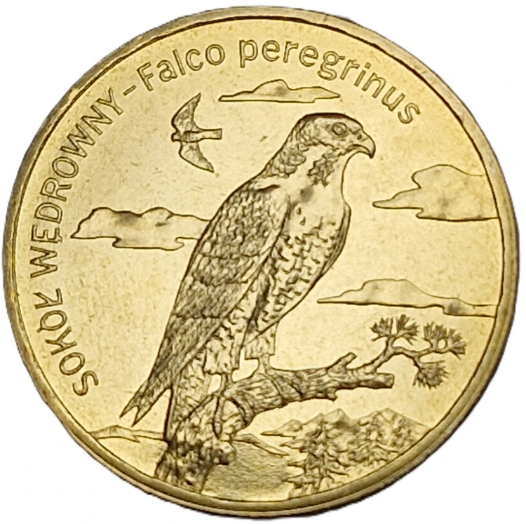 Moneta 2 zł Sokół wędrowny 2008 rewers