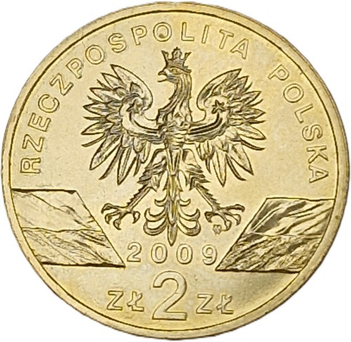 Moneta 2 zł Jaszczurka zielona 2009 awers