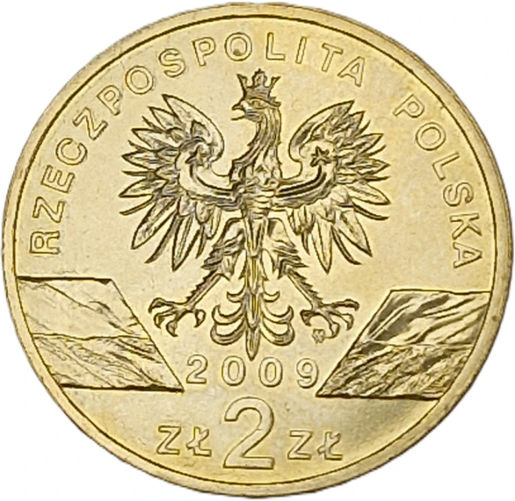 Moneta 2 zł Jaszczurka zielona 2009 awers