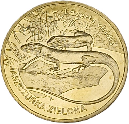 Moneta 2 zł Jaszczurka zielona 2009 rewers