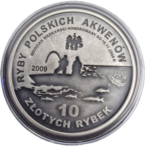 10 złotych rybek 2009 Sum awers
