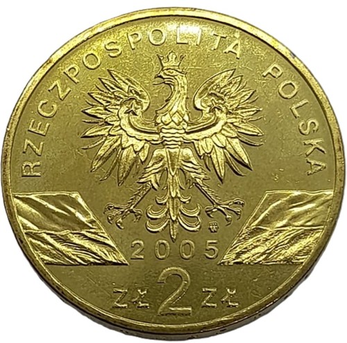 Moneta okolicznościowa 2 zł Puchacz 2005 awers Zwierzęta Świata