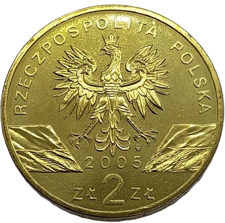Moneta okolicznościowa 2 zł Puchacz 2005 awers Zwierzęta Świata