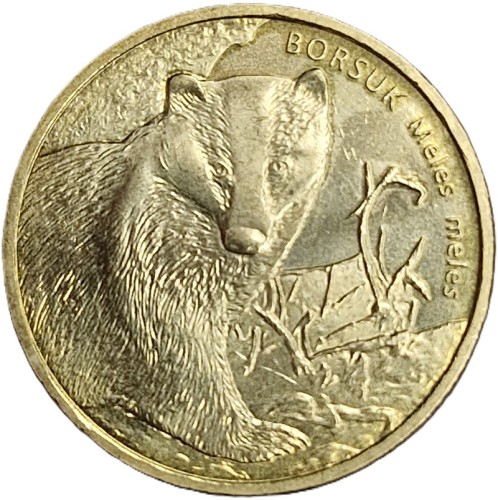 Moneta 2 zł Borsuk 2011 rewers