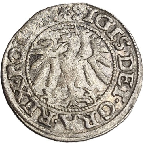 Moneta szeląg gdański 1547 Zygmunt I Stary rewers