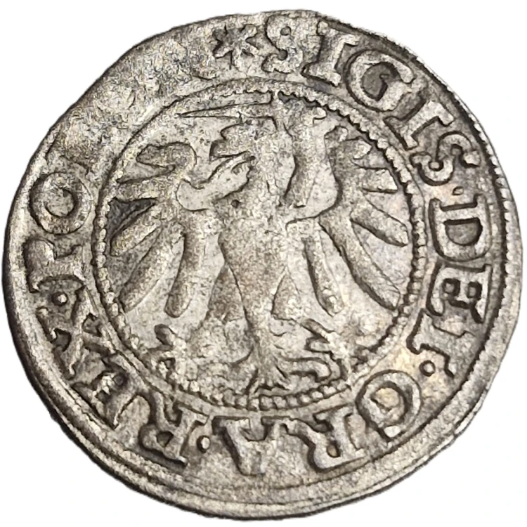 Moneta szeląg gdański 1547 Zygmunt I Stary rewers