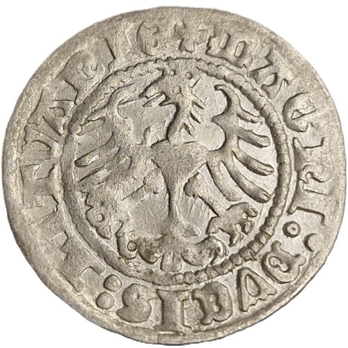 Moneta półgrosz 1510 Zygmunt I Stary awers