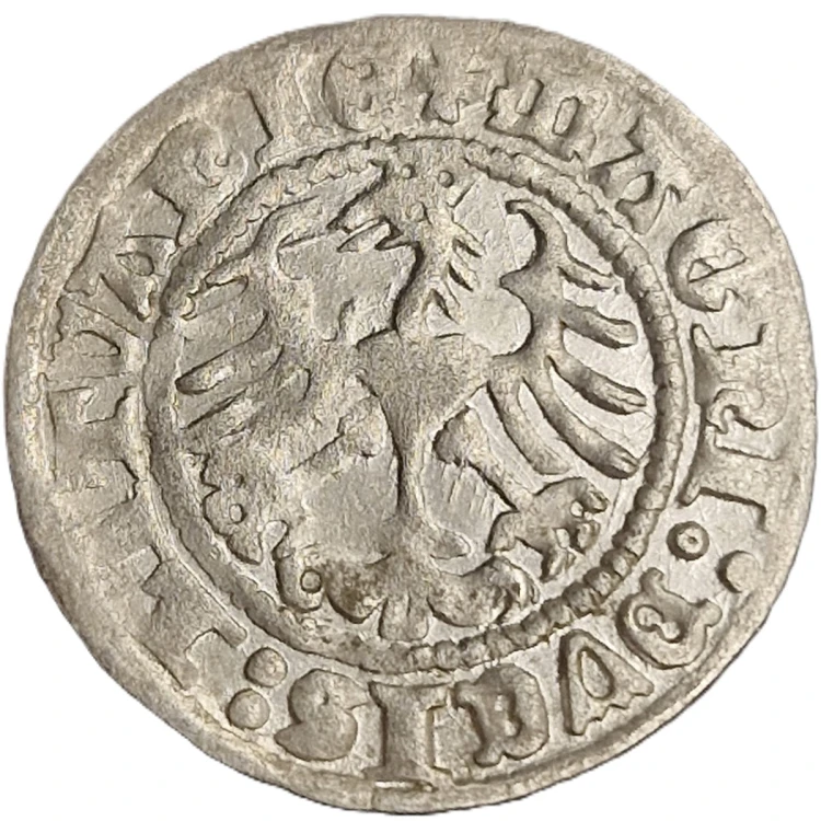 Moneta półgrosz 1510 Zygmunt I Stary awers