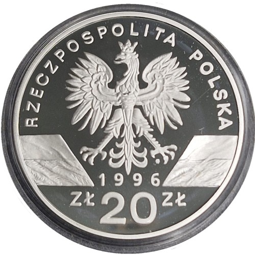 Moneta 20 zł Jeż 1996 awers
