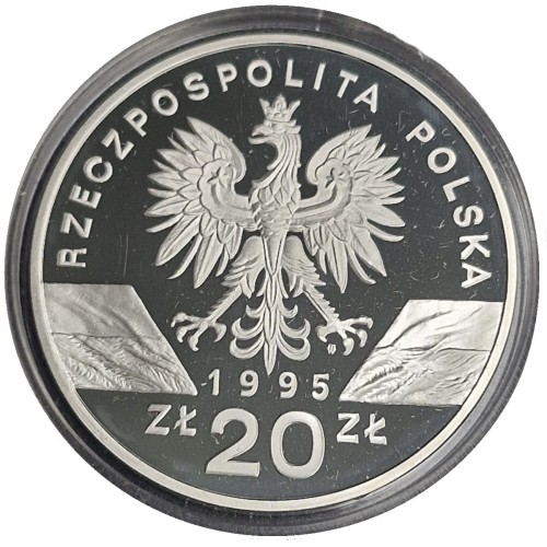 Moneta 20 zł Sum 1995 awers