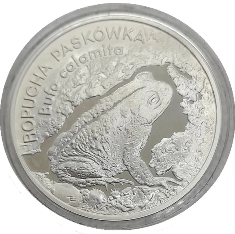 Moneta 20 zł Ropucha Paskówka 1998 rewers
