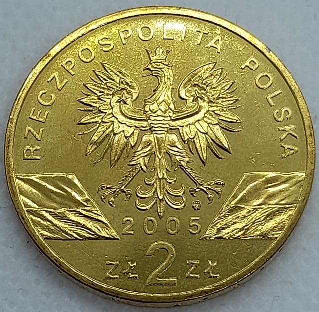Moneta okolicznościowa 2 zł Puchacz 2005 awers