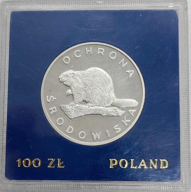 Moneta 100 zł Bóbr 1978 rewers