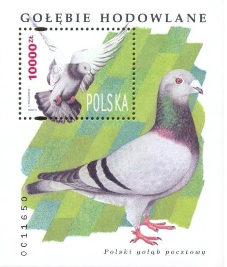 Gołębie pocztowe Blok 1994