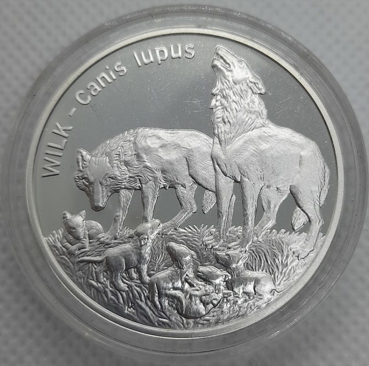 Moneta kolekcjonerska 20 złotych Wilk 1999 rewers