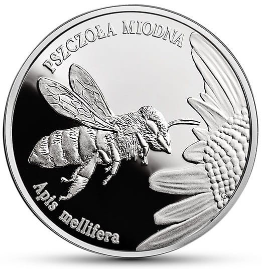 Moneta 20 zł Pszczoła miodna 2015 r. rewers