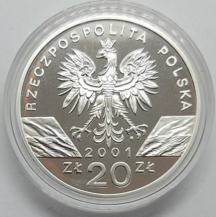 Moneta 20 zł Paź Królowej 2001 r. awers