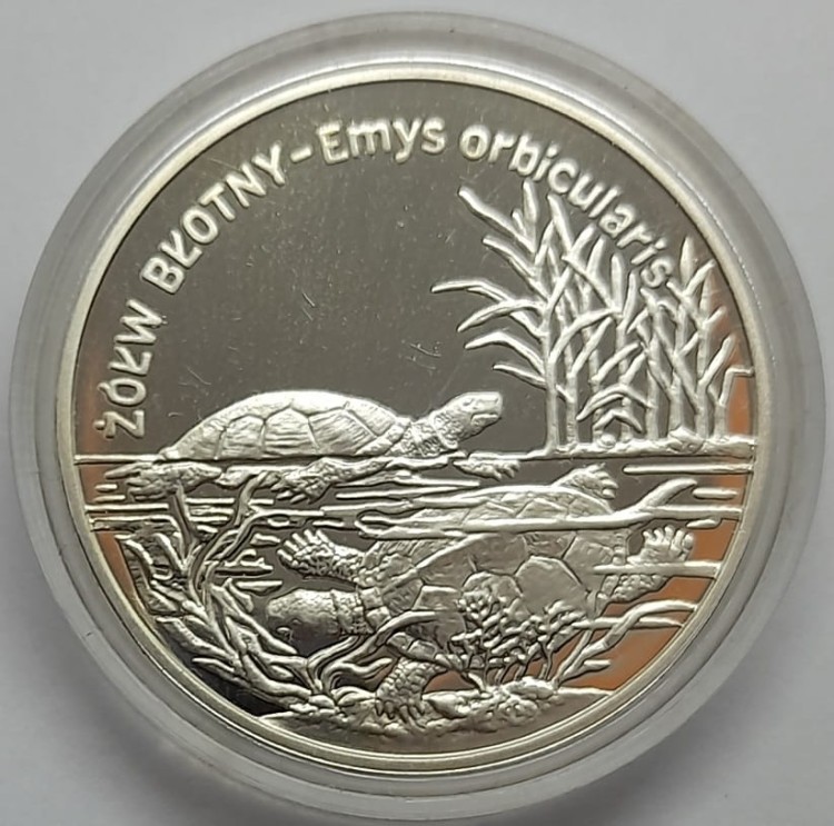 Moneta 20 zł Żółw Błotny 2002 r. rewers