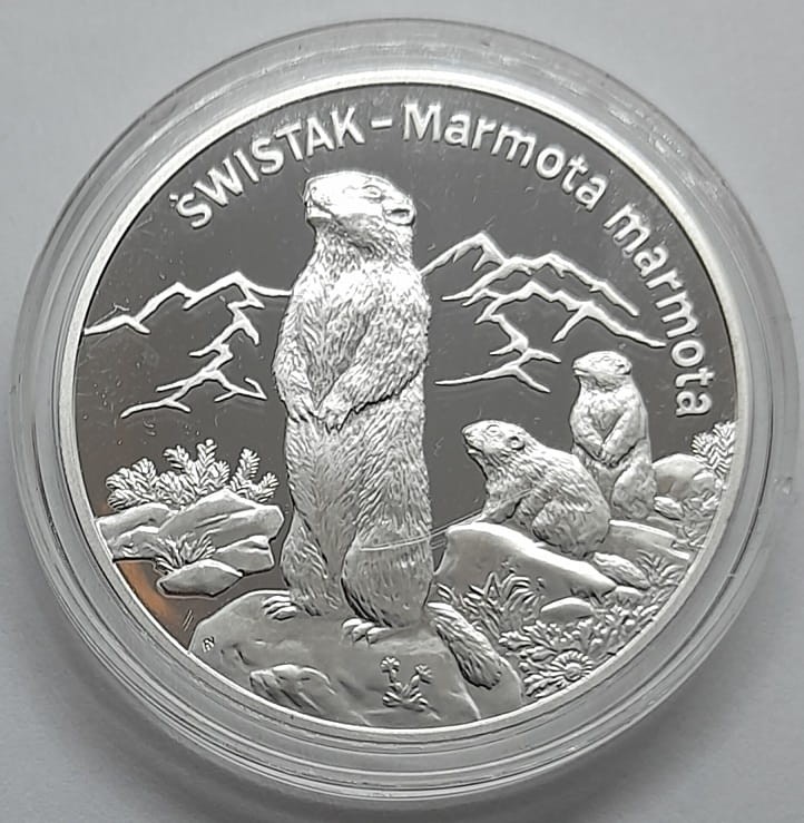 Moneta 20 zł Świstak 2006 r. rewers