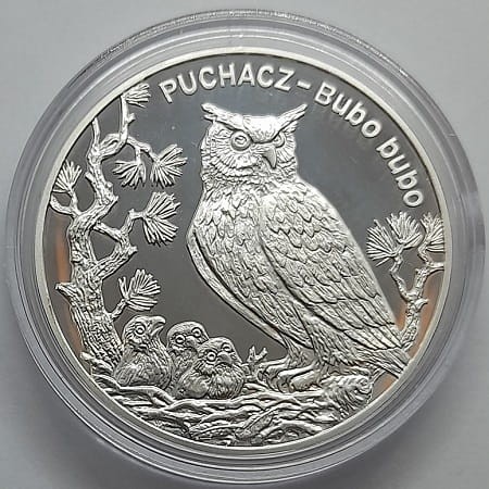 Moneta 20 zł Puchacz 2005 r. rewers