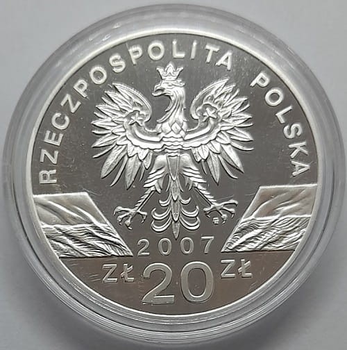 Moneta 20 zł Foka szara 2007 r. awers