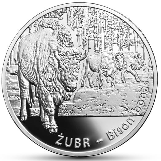Moneta 20 zł Żubr 2013 r. rewers
