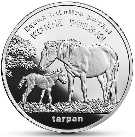 Moneta 20 zł Konik polski 2014 r. rewers