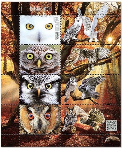 Znaczki Polskie ptaki sowy arkusz 2017 4812-4815