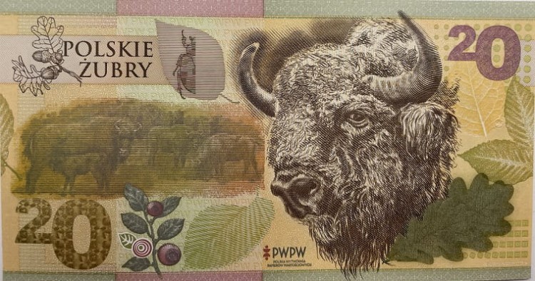 Polskie Żubry PWPW 2019 r. banknot testowy awers