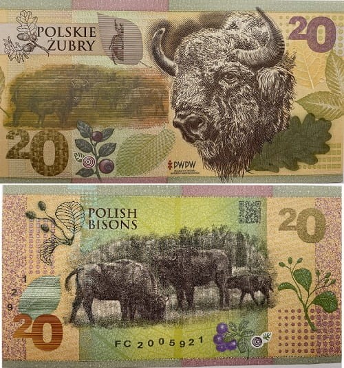 Polskie Żubry PWPW 2019 r. banknot testowy